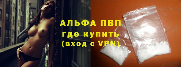 винт Лагань