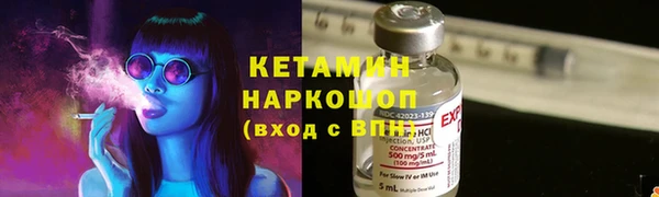 винт Лагань