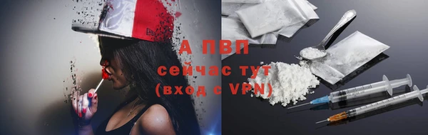 винт Лагань