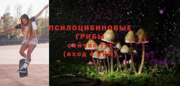 мескалин Лабытнанги