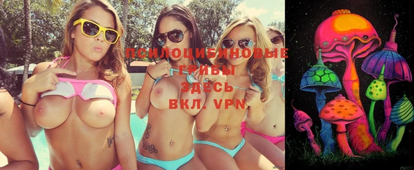винт Лагань