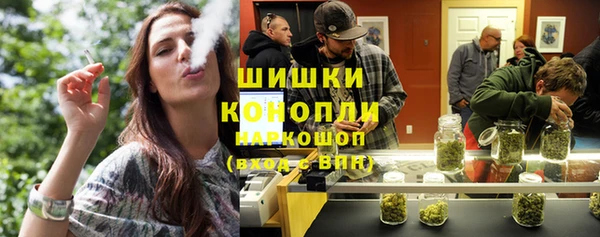 винт Лагань