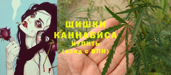 винт Лагань