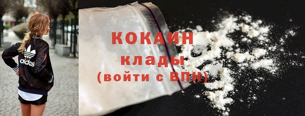 винт Лагань