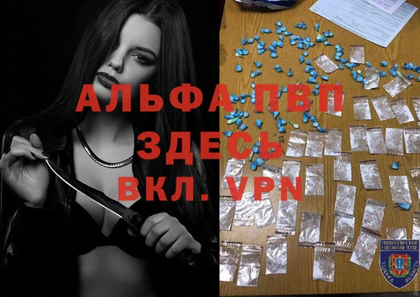 винт Лагань