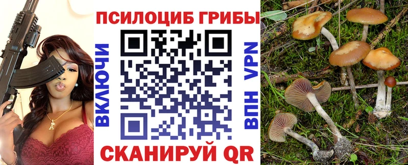 Галлюциногенные грибы Magic Shrooms купить наркотики цена площадка телеграм Боровичи