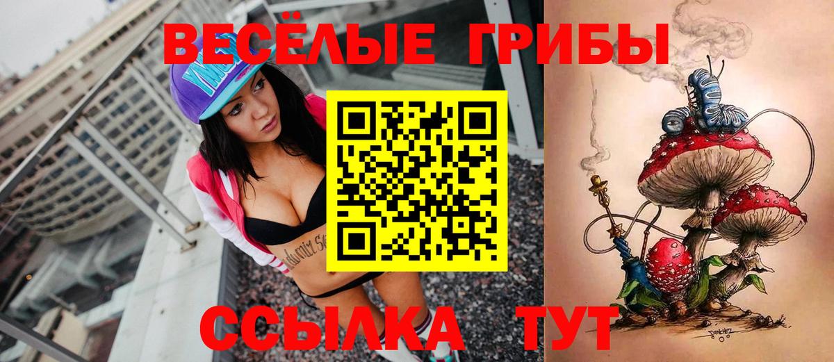 Галлюциногенные грибы Cubensis  Вход с VPN  Боровичи 