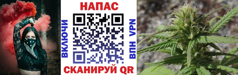 Каннабис SATIVA & INDICA  закладки  мориарти наркотические препараты  Боровичи  мега как зайти 